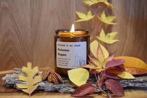 Autumn Aspen - 8 oz Soy Candle