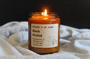 Black Orchid - 8 oz Soy Candle