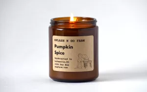 Pumpkin Spice - 8 oz Soy Candle